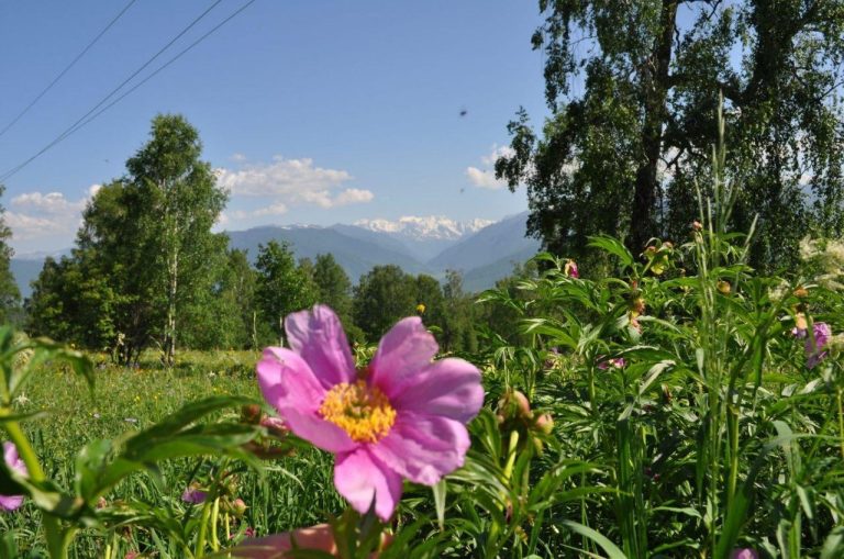 The ALTAI RESIDENZ FREIGEIST eco-settlement