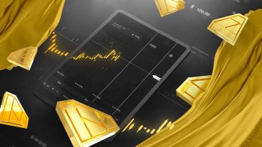 How to make money with the Platin Hero partnership program